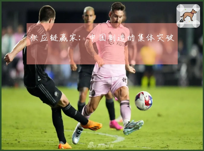 供应链赢家：中国制造的集体突破