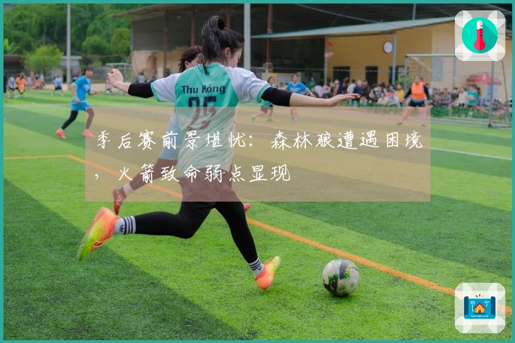 季后赛前景堪忧：森林狼遭遇困境，火箭致命弱点显现