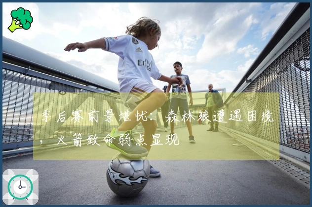 季后赛前景堪忧：森林狼遭遇困境，火箭致命弱点显现
