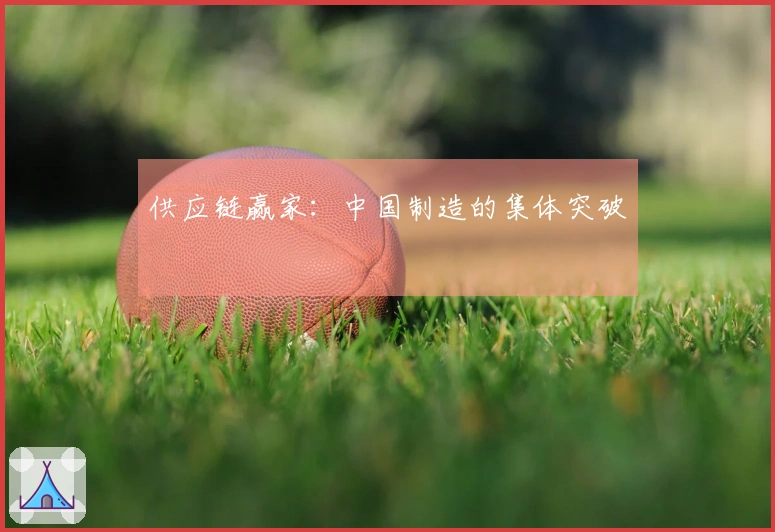 供应链赢家：中国制造的集体突破